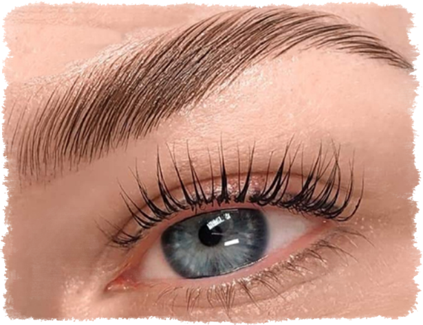 Brauen- und Wimpernlifting